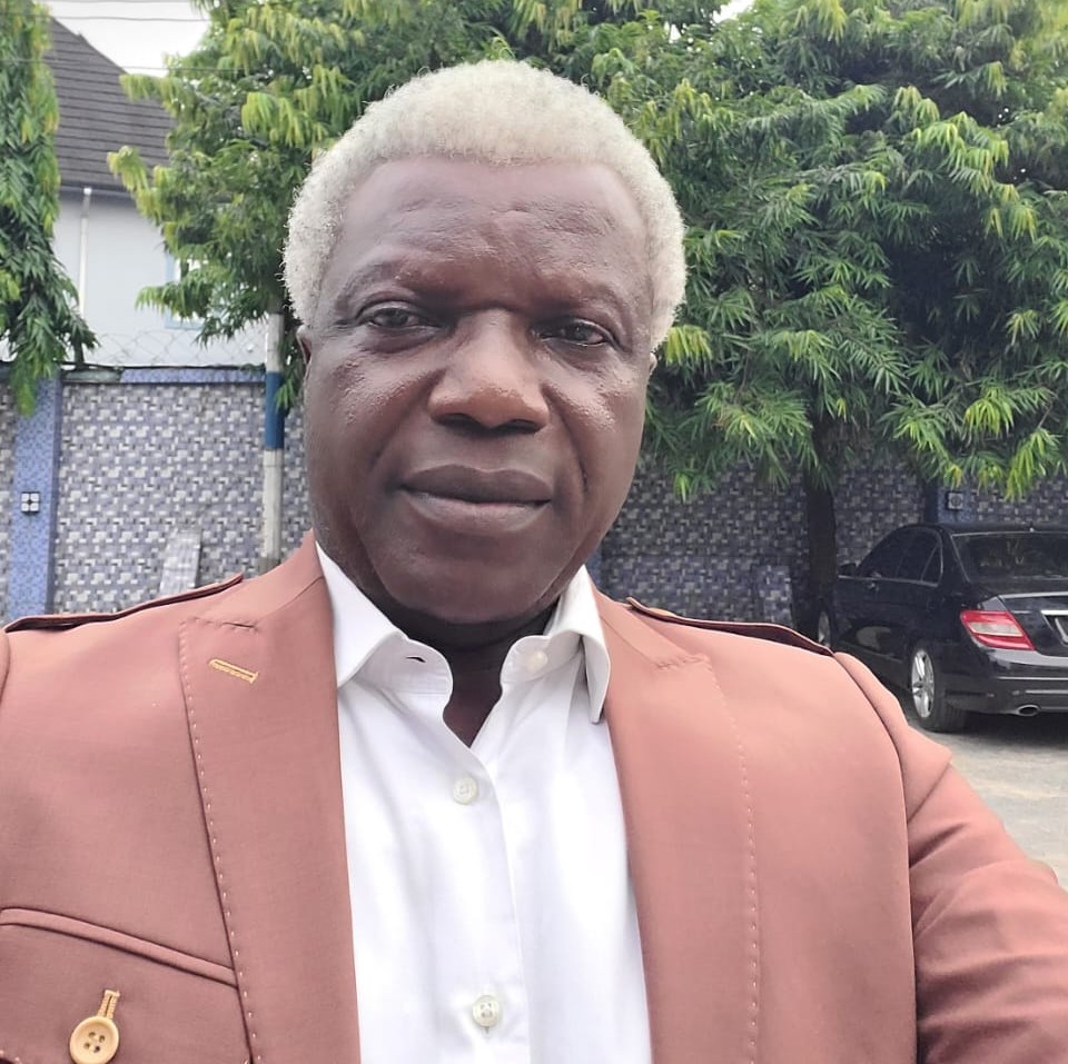 Portrait of Prof. Eketu Continue Anddison, Esq., Research, Training & Business Development Consultant at Peers Alliance Limited